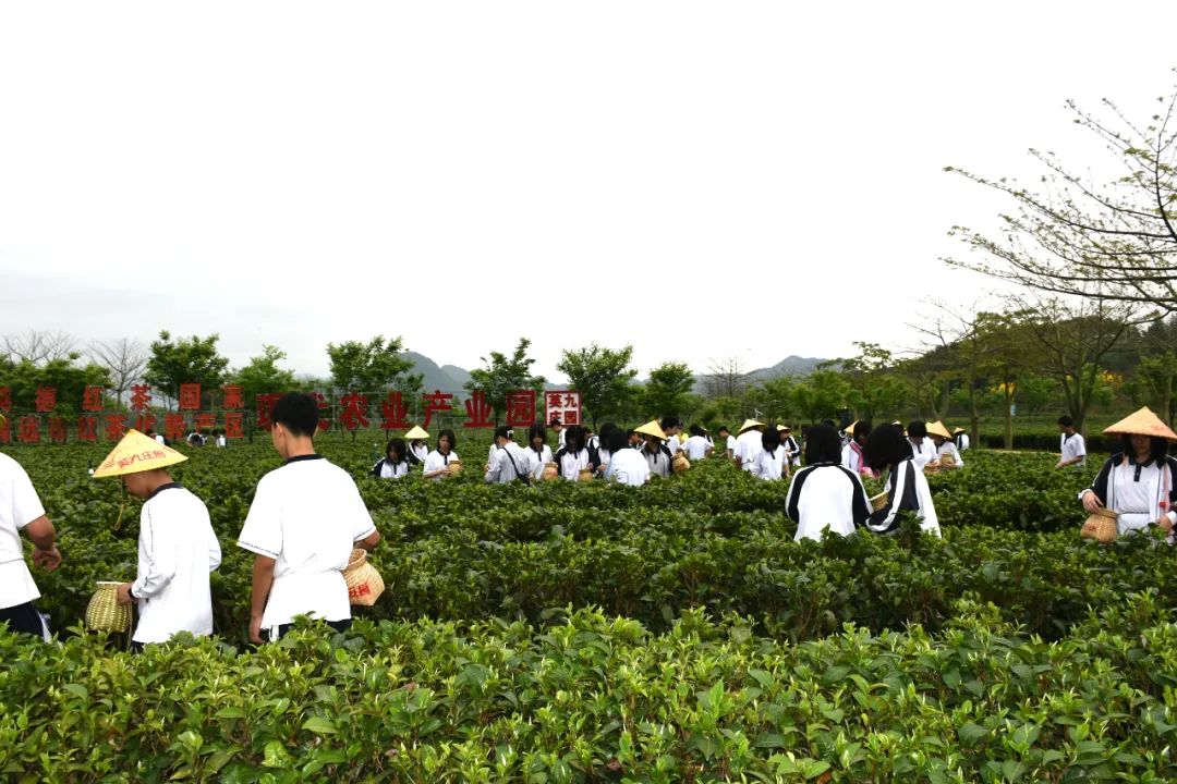 英九庄园中小学生研学实践教育基地