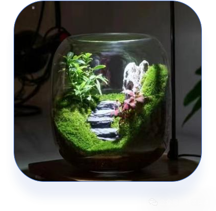 清远英石园研学实践教育基地
