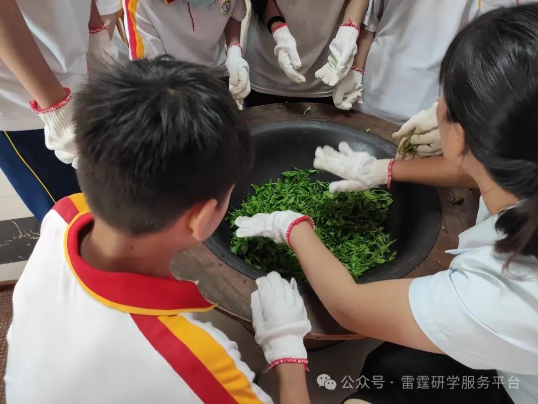 茶趣园茶文化自然生态劳动综合研学基地