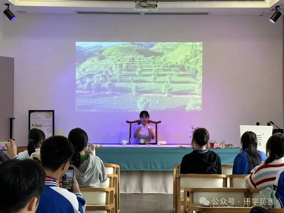 英西峰林T三有机茶园研学实践教育基地