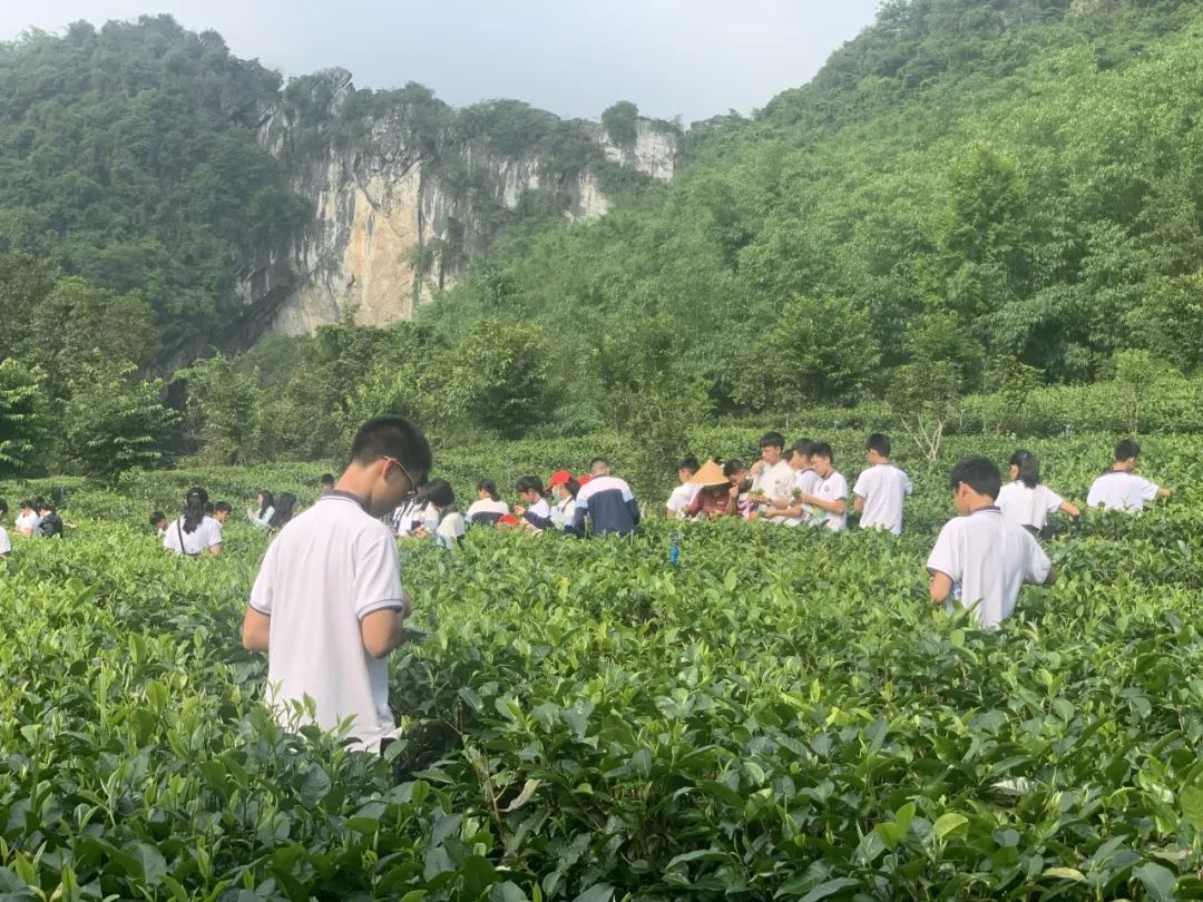 宝晶宫地质研学综合实践教育基地