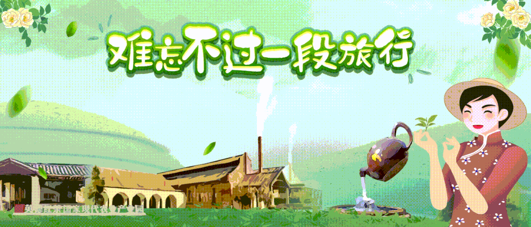 红旗茶厂中小学生研学实践教育基地