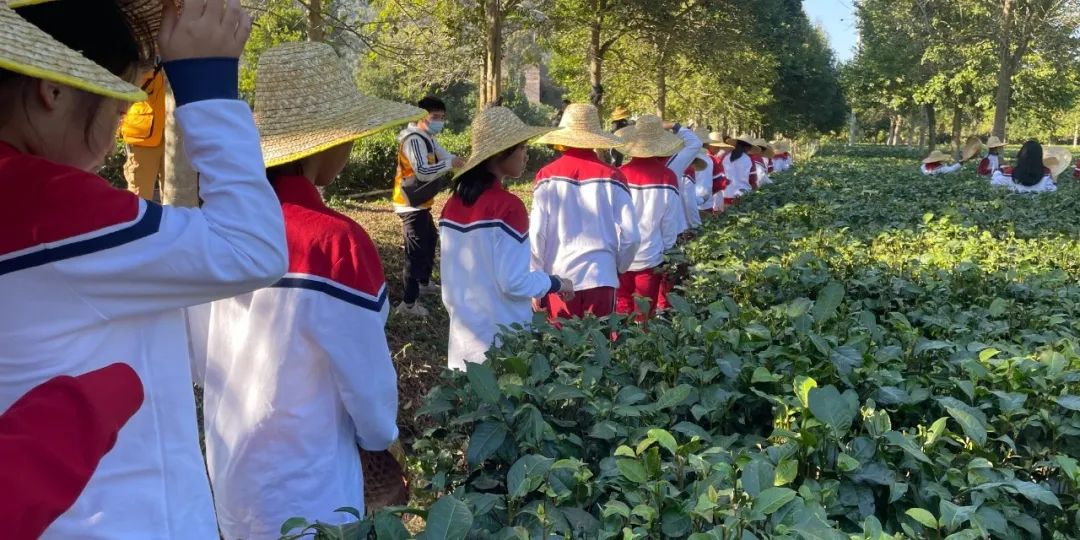红旗茶厂中小学生研学实践教育基地