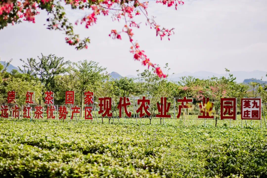英九庄园中小学生研学实践教育基地