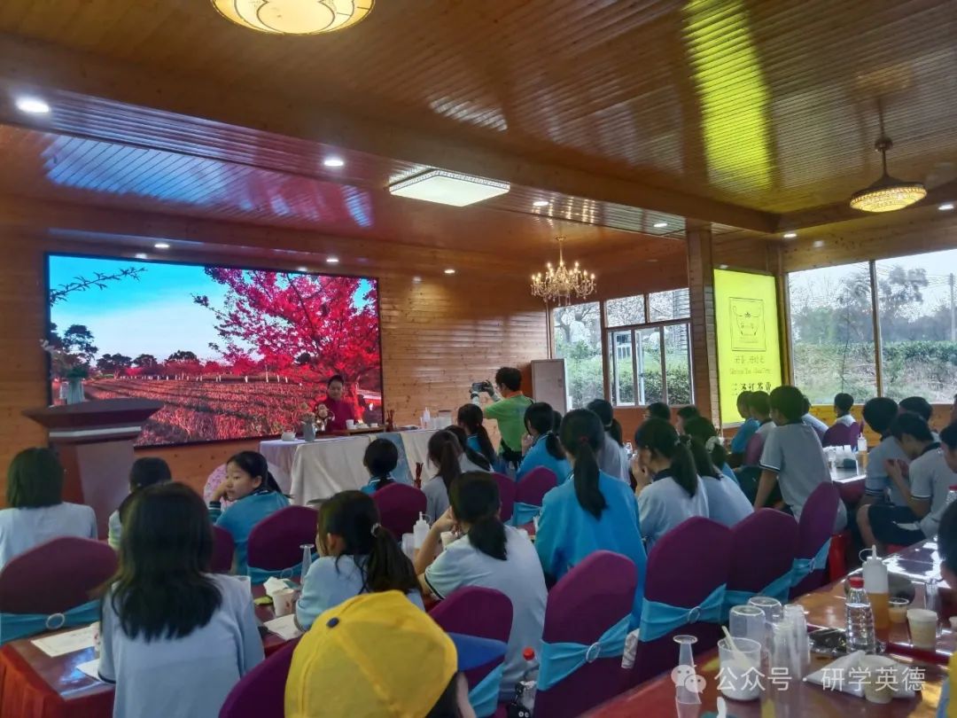 三圣红茶文化中小学生研学实践教育基地