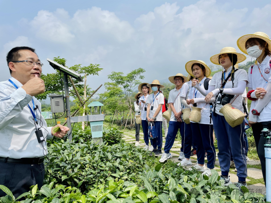 英西峰林T三有机茶园研学实践教育基地