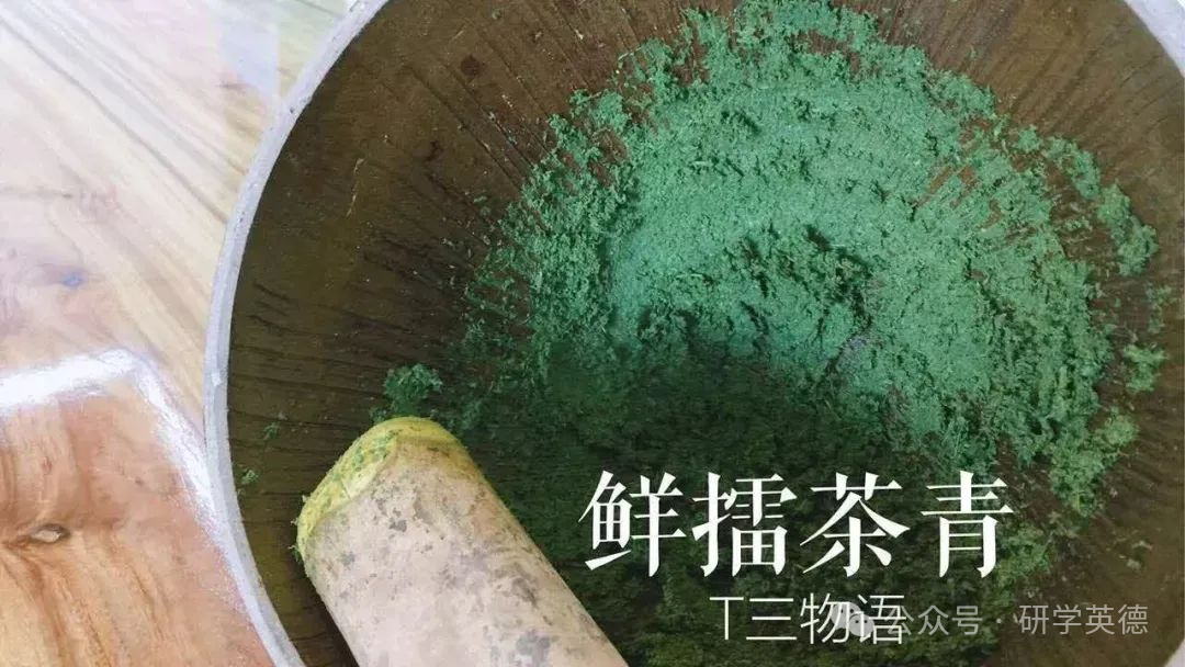 英西峰林T三有机茶园研学实践教育基地