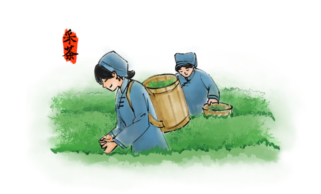 红旗茶厂中小学生研学实践教育基地