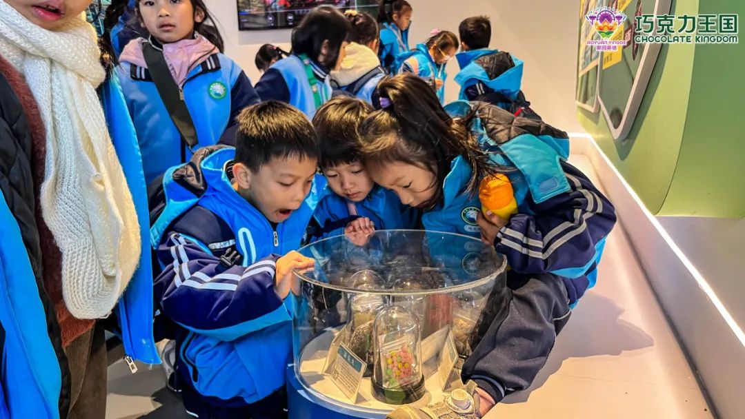 奥园英德巧克力王国中小学生研学基地
