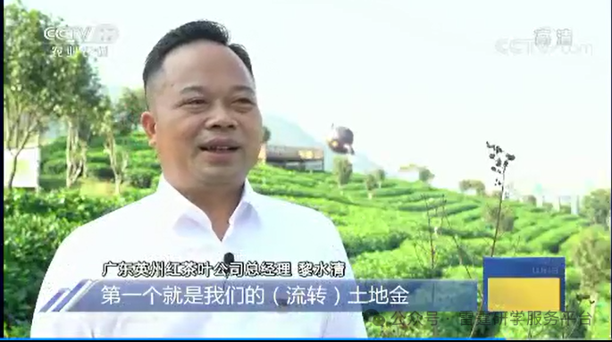 茶趣园茶文化自然生态劳动综合研学基地