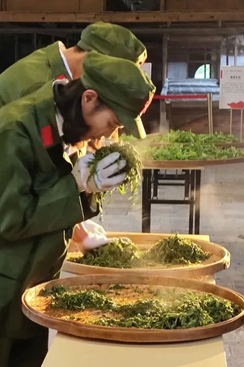 红旗茶厂中小学生研学实践教育基地