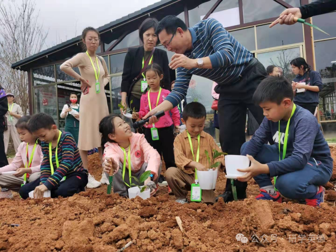 英西峰林T三有机茶园研学实践教育基地