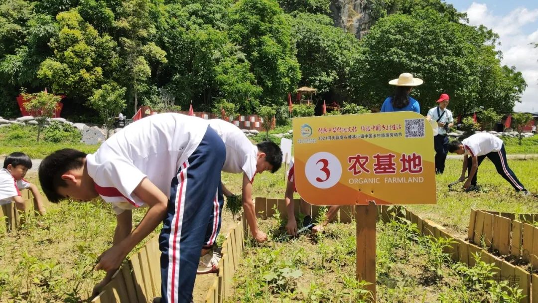 峰林晓镇研学综合实践教育基地