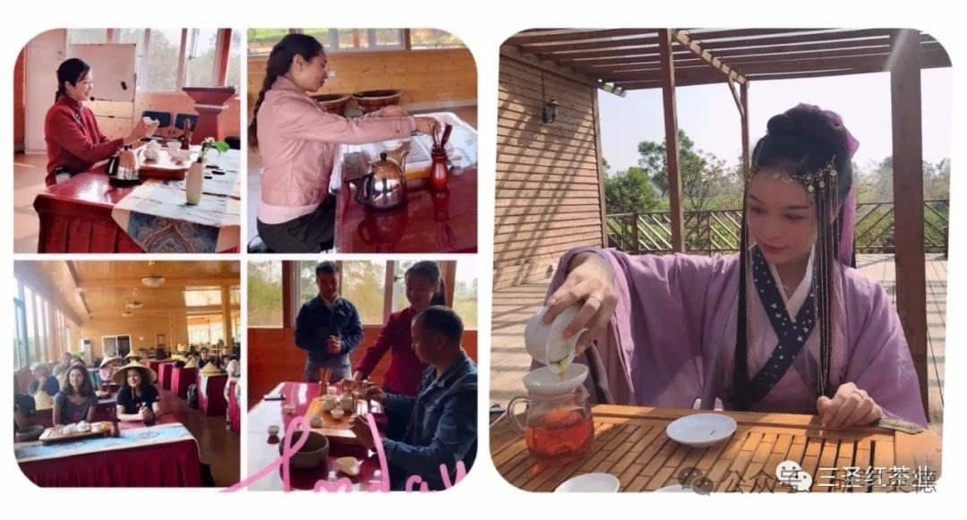 三圣红茶文化中小学生研学实践教育基地