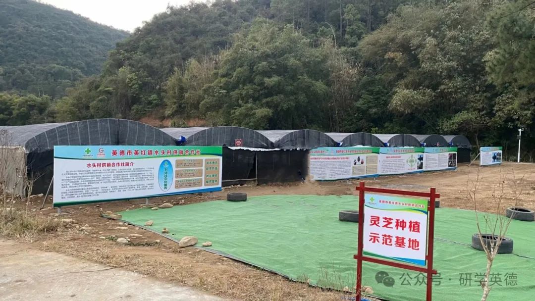 云水谣中小学生研学实践教育基地