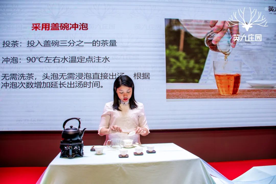 英九庄园中小学生研学实践教育基地