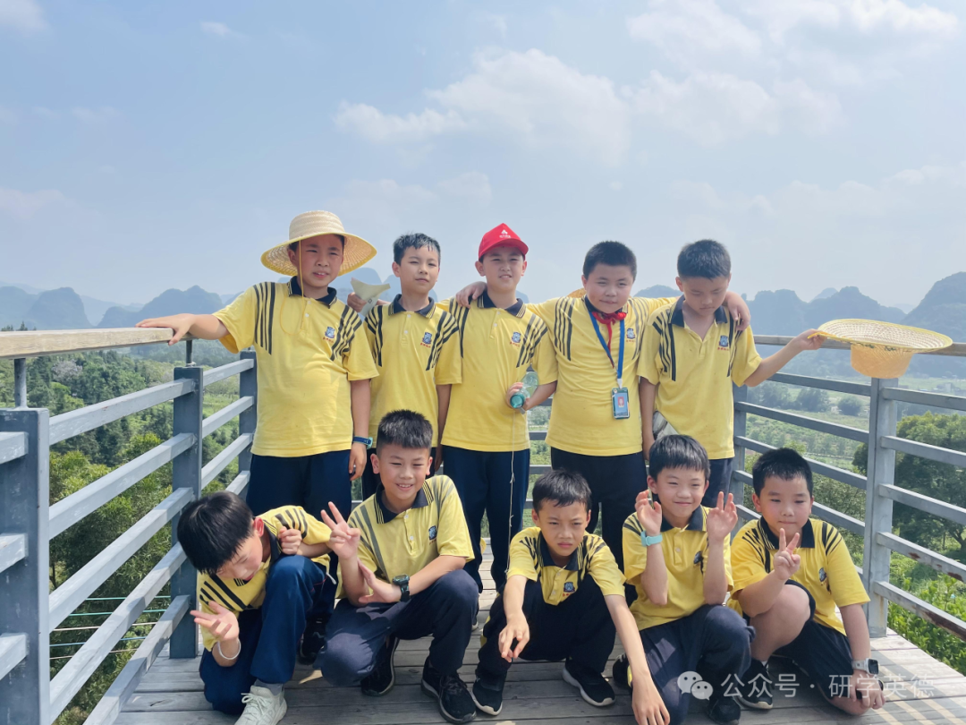 英西峰林T三有机茶园研学实践教育基地