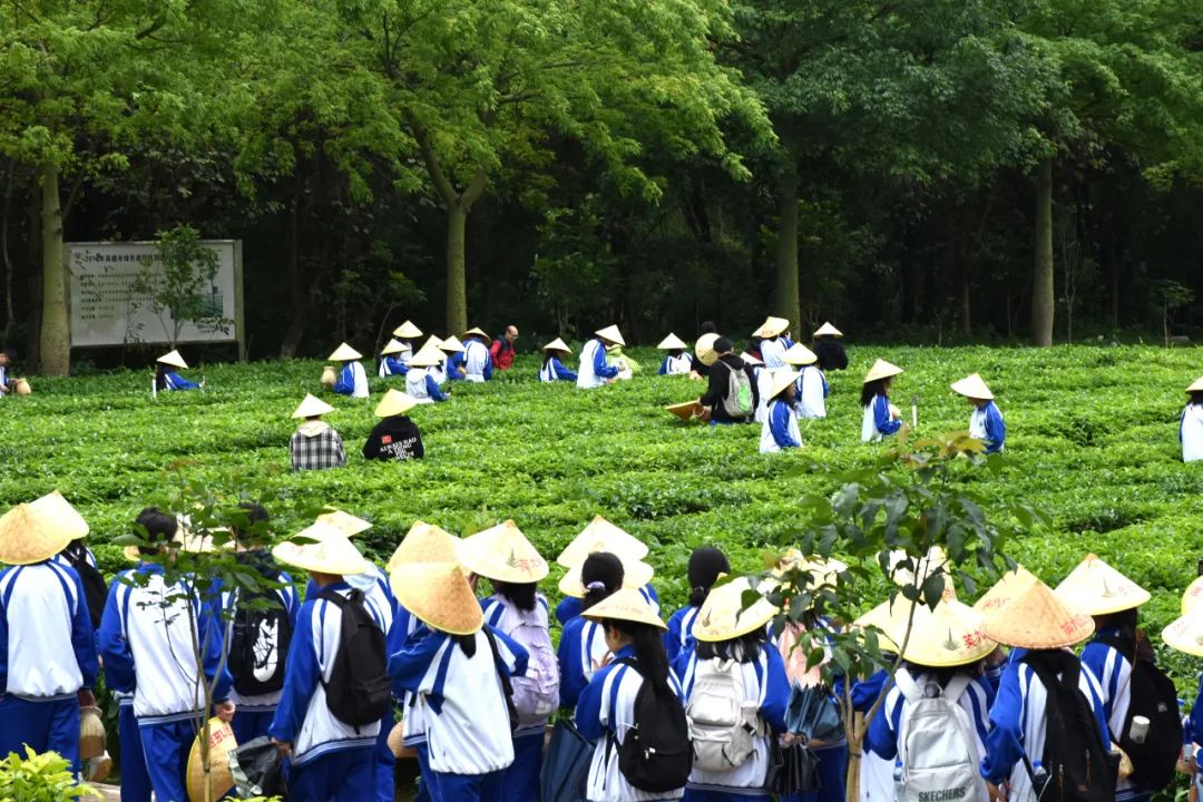 英九庄园中小学生研学实践教育基地