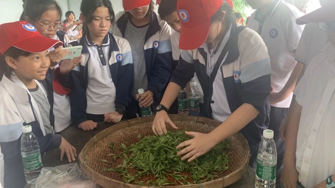 宝晶宫地质研学综合实践教育基地
