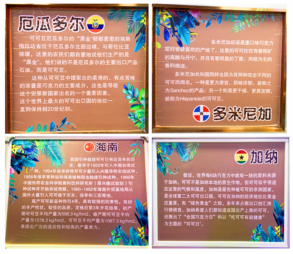 奥园英德巧克力王国中小学生研学基地