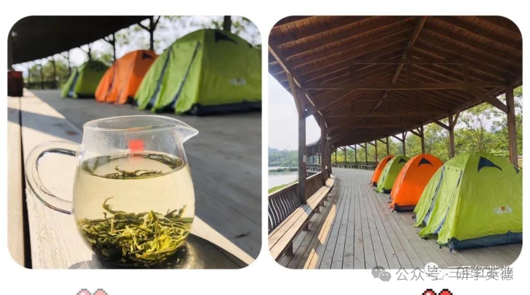 三圣红茶文化中小学生研学实践教育基地