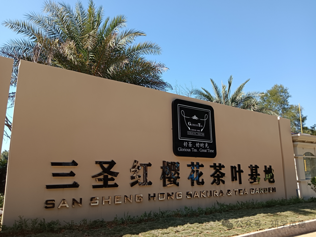 三圣红茶文化中小学生研学实践教育基地