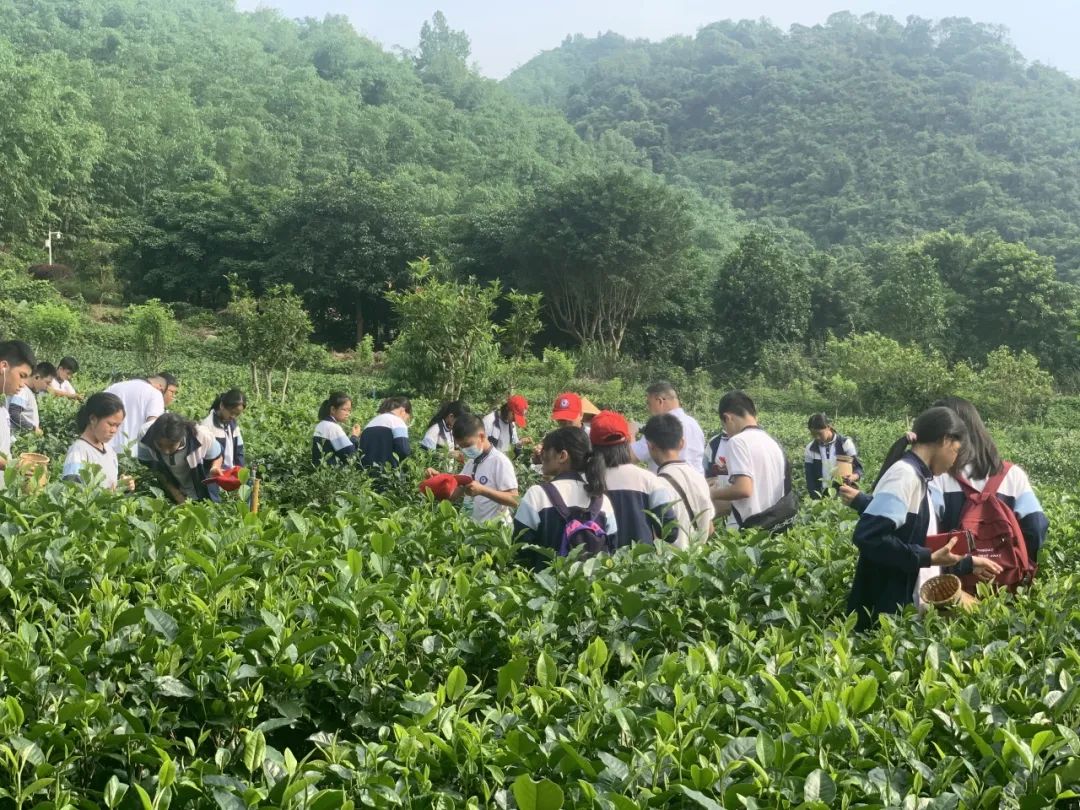 宝晶宫地质研学综合实践教育基地