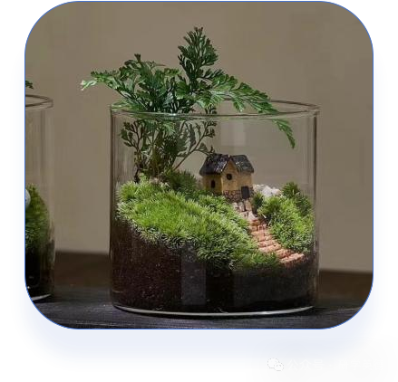 清远英石园研学实践教育基地