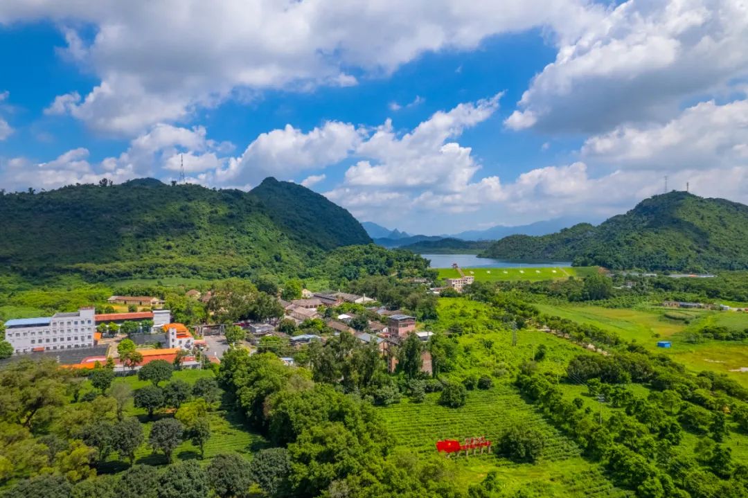 红旗茶厂中小学生研学实践教育基地