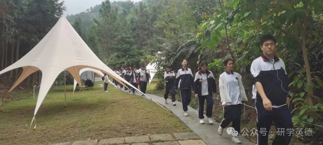 英西峰林T三有机茶园研学实践教育基地