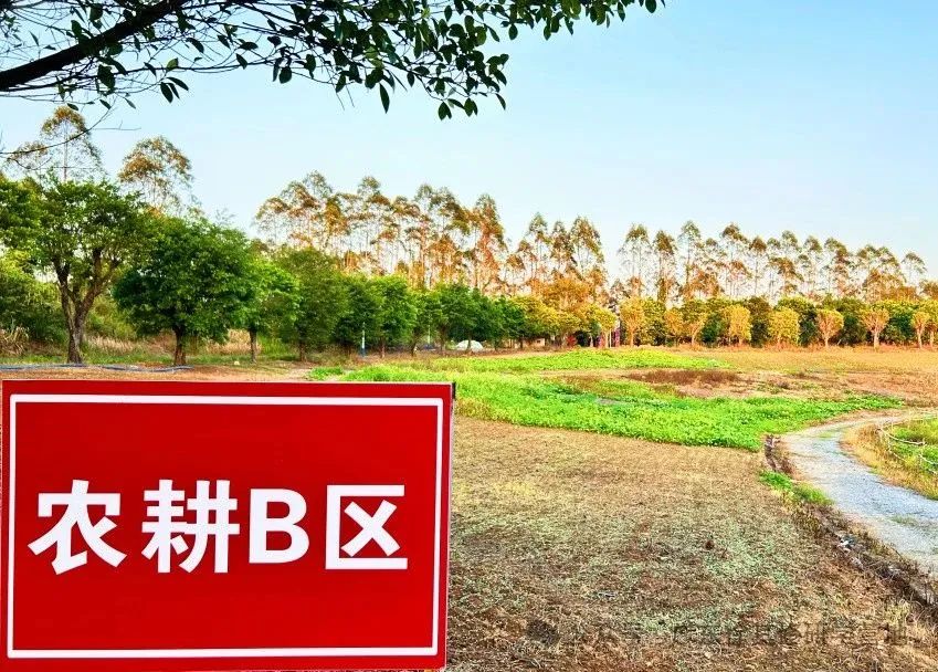 徐其修大中小学综合性研学实践教育营地
