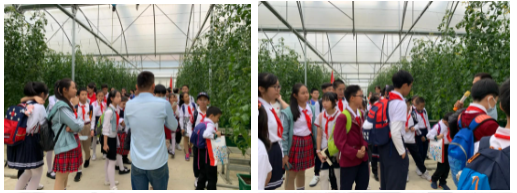 连樟村研学实践教育基地