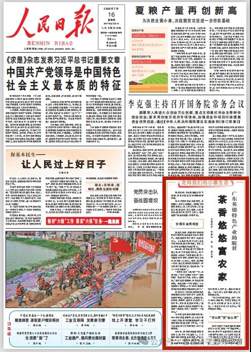 茶趣园茶文化自然生态劳动综合研学基地