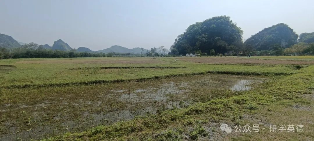 峰林晓镇研学综合实践教育基地