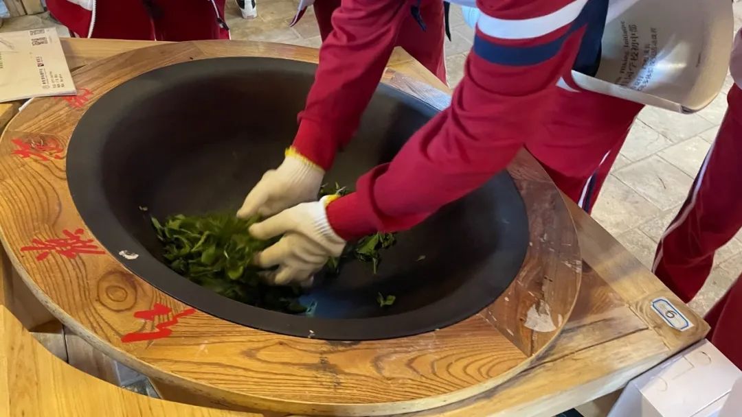 红旗茶厂中小学生研学实践教育基地
