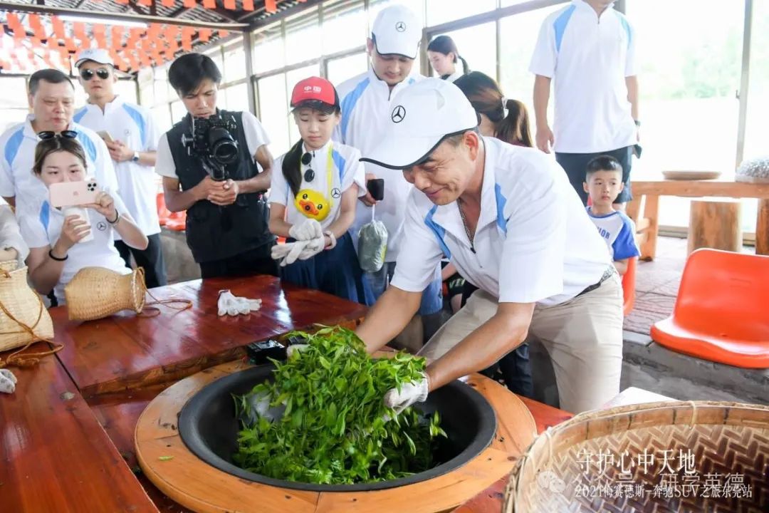英西峰林T三有机茶园研学实践教育基地