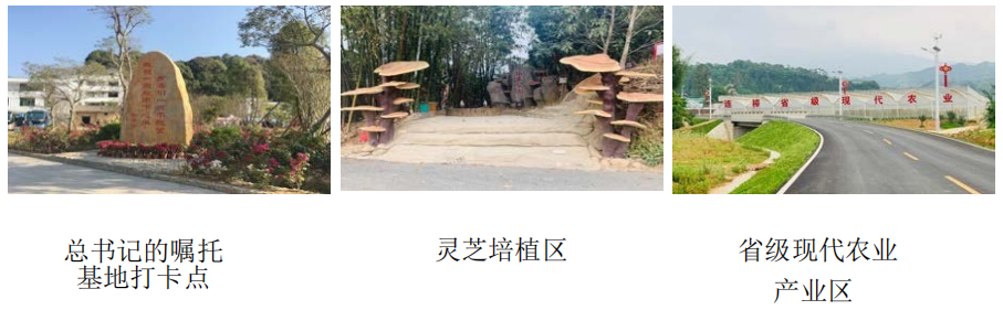 连樟村研学实践教育基地