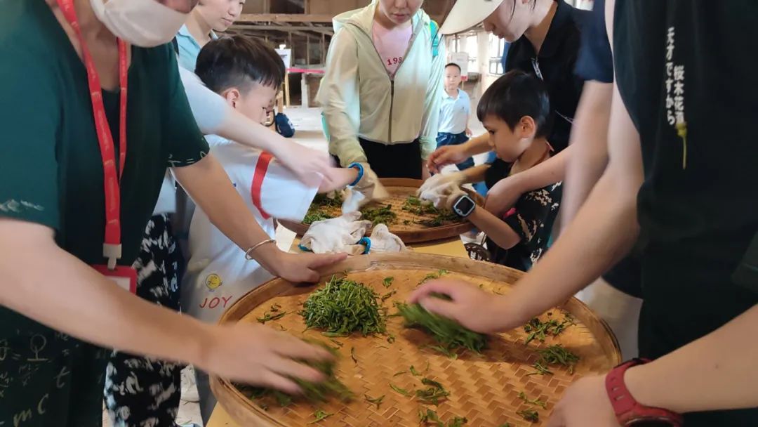 红旗茶厂中小学生研学实践教育基地