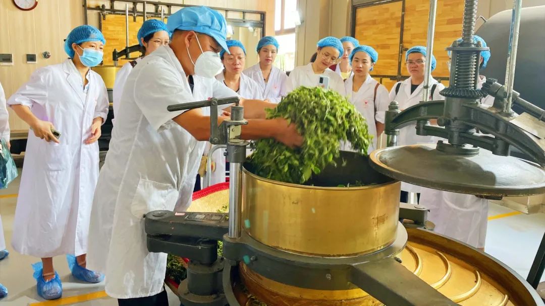 红旗茶厂中小学生研学实践教育基地