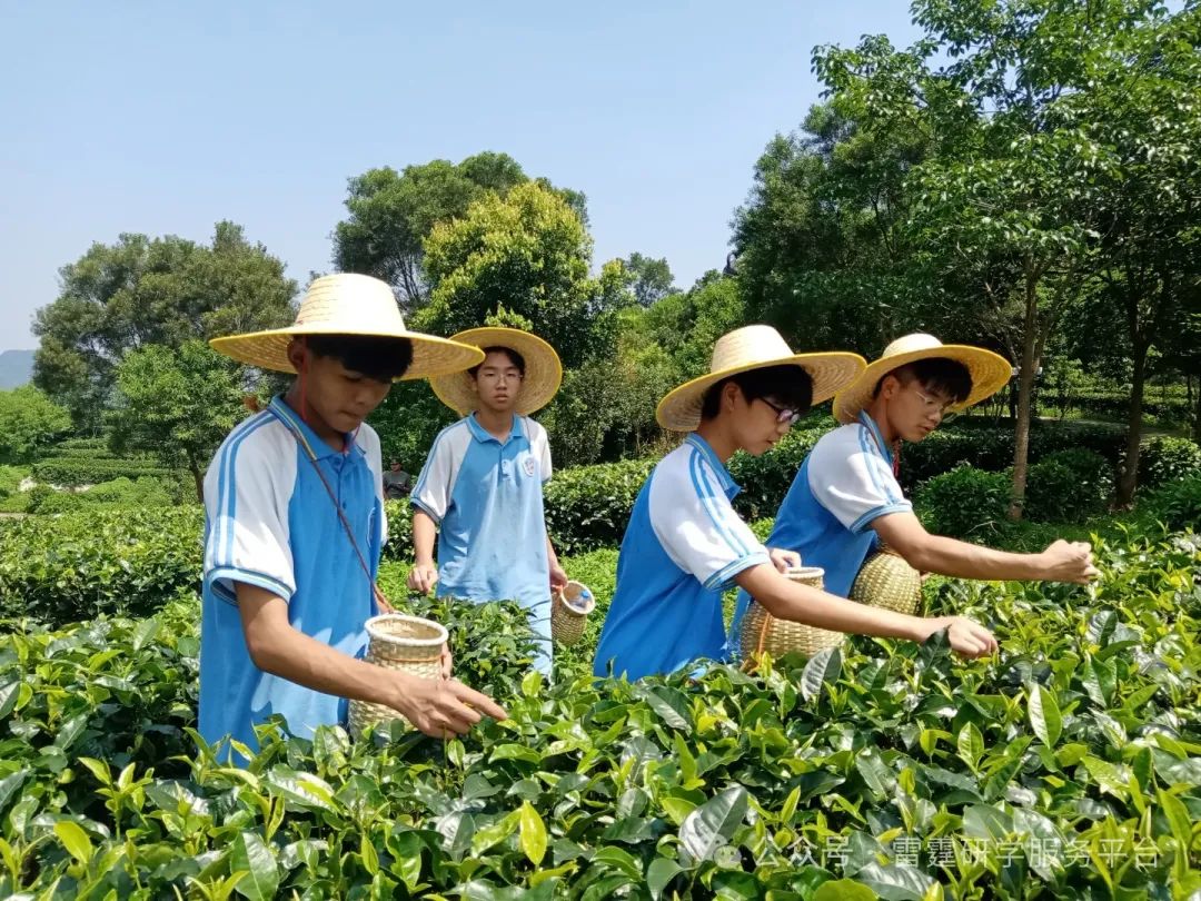 茶趣园茶文化自然生态劳动综合研学基地