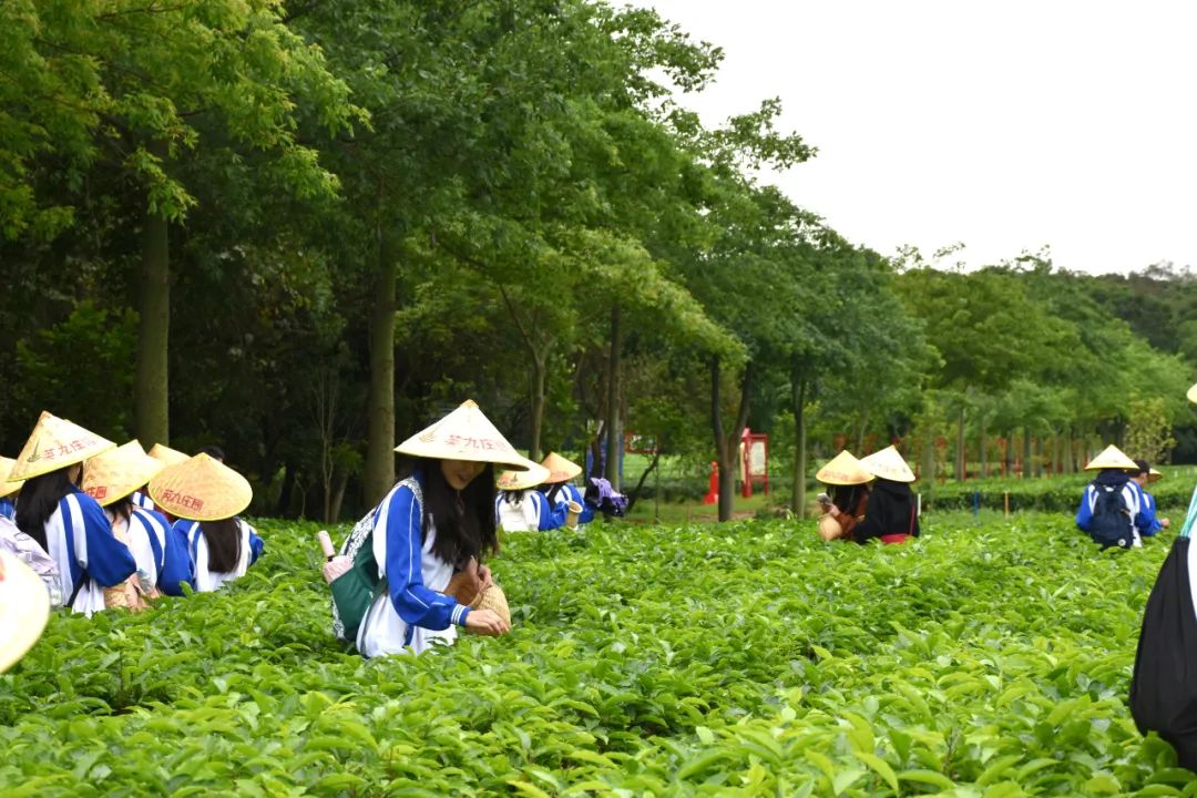 英九庄园中小学生研学实践教育基地
