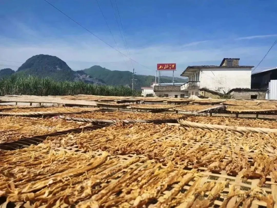 吉水小北江中小学生研学实践教育基地