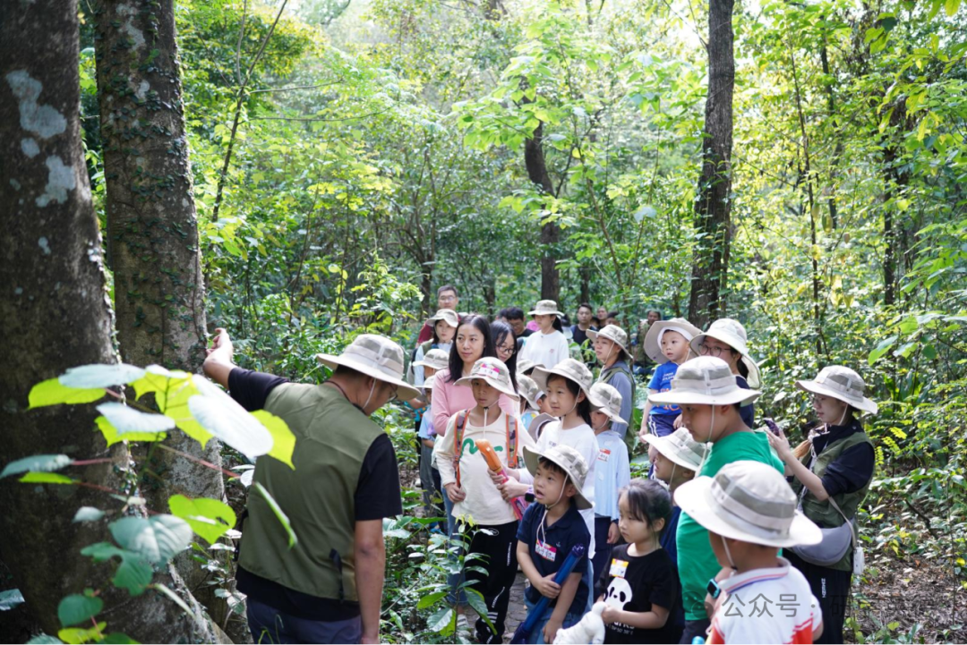 云水谣中小学生研学实践教育基地