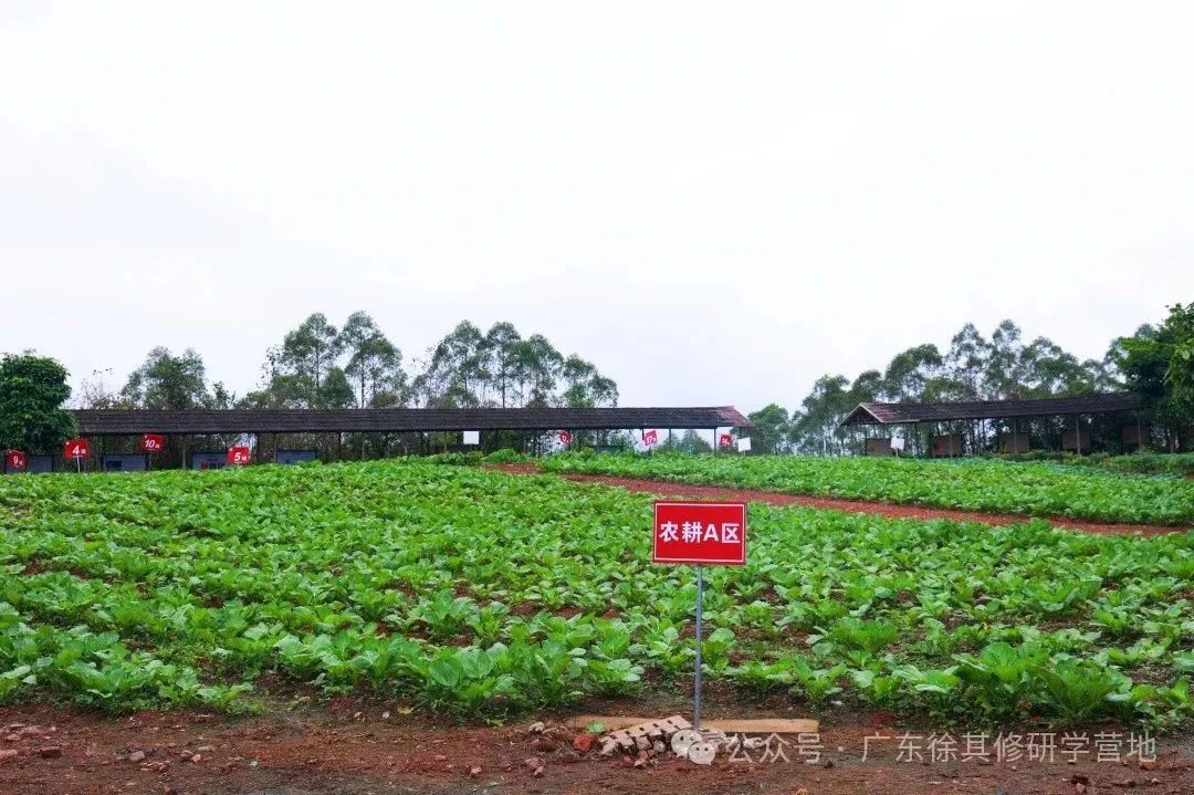 徐其修大中小学综合性研学实践教育营地