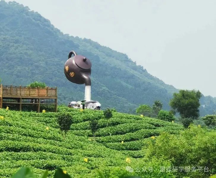 茶趣园茶文化自然生态劳动综合研学基地